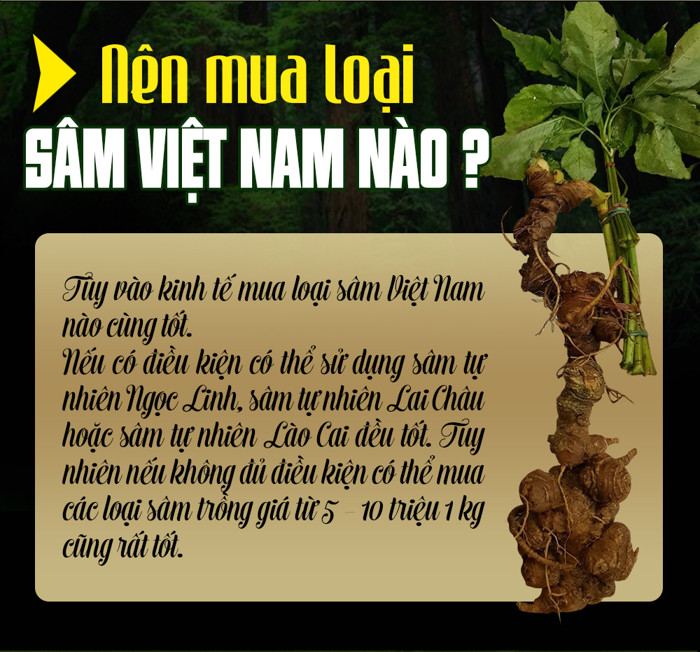 Nên mua loại sâm Việt Nam nào.jpg
